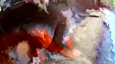 Snapshot of sam681820 chatting on November 24, 4:12 am sam681820 online show from November 24, 4:12 am