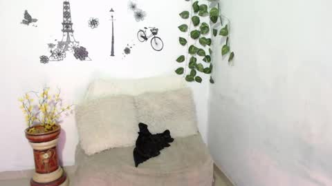 Snapshot of samira_lennox chatting on January 8, 1:42 am SAMIRA online show from January 8, 1:42 am