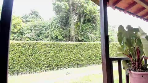 Snapshot of samuel_obrian chatting on December 12, 6:42 pm Samuel online show from December 12, 6:42 pm