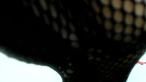 sara online show from December 5, 6:32 am