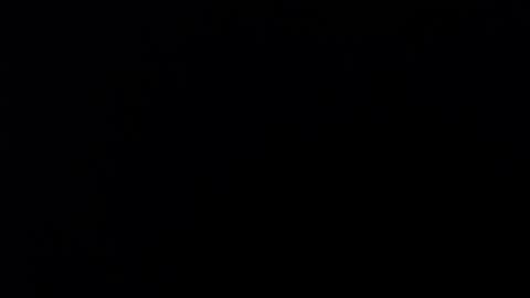 Sara Parker online show from December 3, 2:30 am