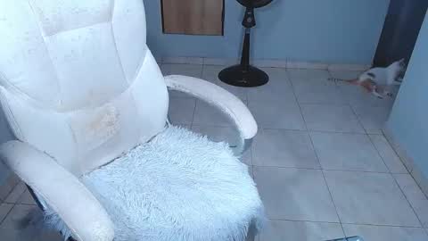 Snapshot of sara_y_rauw chatting on February 15, 7:10 pm Sara online show from February 15, 7:10 pm