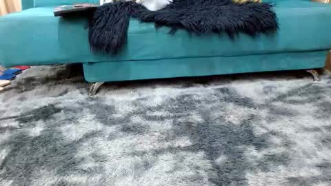 Snapshot of sarita_klein chatting on November 8, 3:34 pm sarita_klein online show from November 8, 3:34 pm