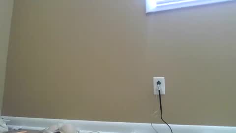 sarlynn online show from February 20, 7:30 pm