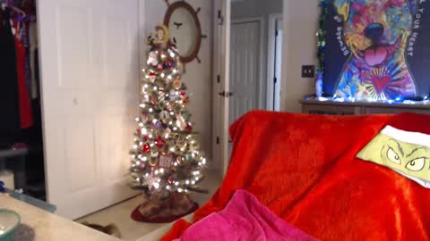 Snapshot of sassybeaver chatting on January 1, 7:41 am Trish online show from January 1, 7:41 am