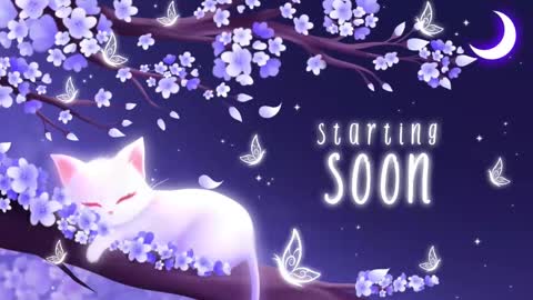 Sassy Sami Kittyn online show from October 21, 5:08 am