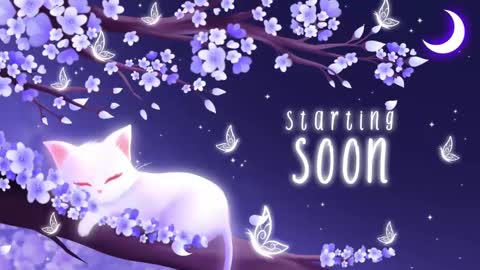 Sassy Sami Kittyn online show from November 4, 6:23 am