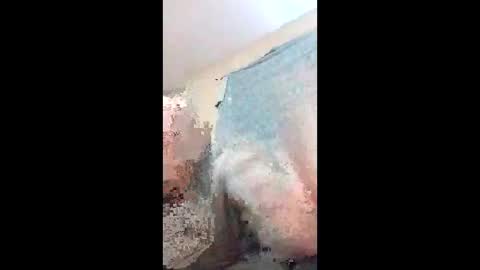 sassysocialite online show from February 12, 9:26 am