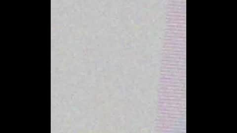 petperson04 online show from March 20, 11:26 am