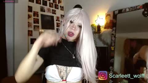 scarlet wolfindependient model online show from November 28, 11:35 am