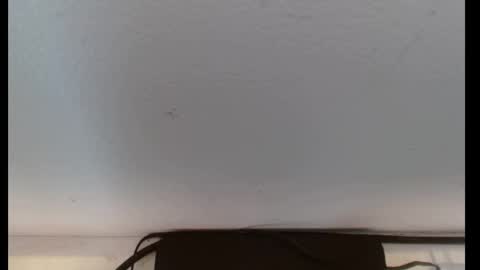 scarlet118082 online show from April 18, 1:48 pm