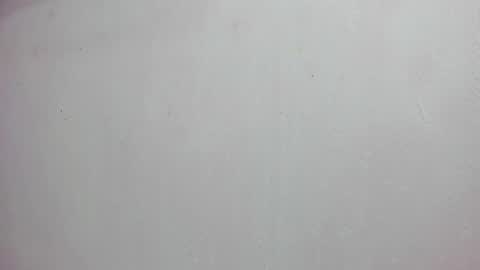 Snapshot of scarlett646 chatting on November 14, 3:16 am Scarlett 3 online show from November 14, 3:16 am