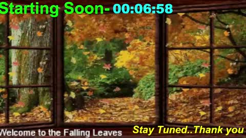 ...PHIL... online show from November 10, 1:04 am