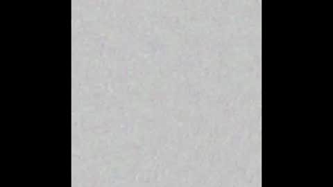 Scolw  online show from December 17, 12:00 pm