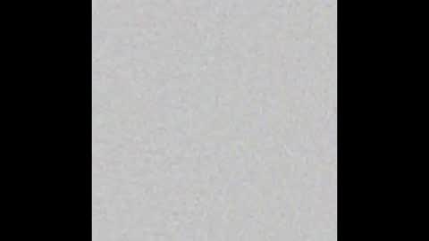 Scolw  online show from February 6, 11:46 am