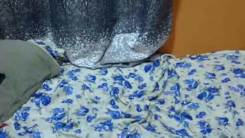 Snapshot of scorviaamanda254 chatting on January 24, 3:11 am Its Lilly online show from January 24, 3:11 am