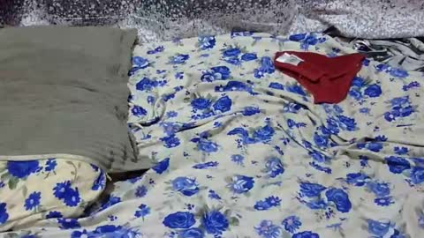 Snapshot of scorviaamanda254 chatting on January 25, 3:09 am Its Lilly online show from January 25, 3:09 am