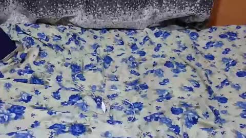 Snapshot of scorviaamanda254 chatting on January 27, 7:03 pm Its Lilly online show from January 27, 7:03 pm