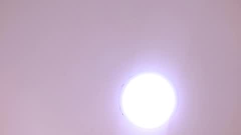 Damar online show from January 8, 6:32 pm