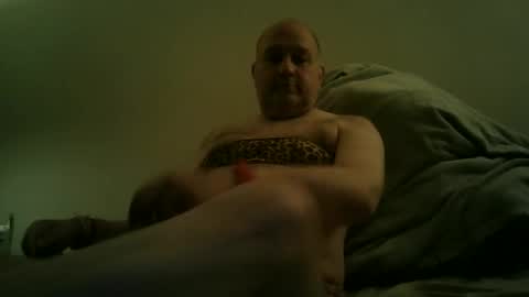 Snapshot of scottforfuhn chatting on February 8, 12:52 pm scottforfuhn online show from February 8, 12:52 pm