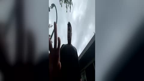 scottyeddd online show from July 5, 5:53 pm