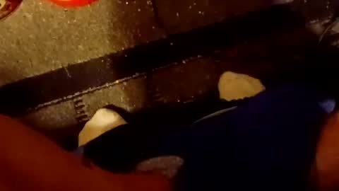 scruples99273286 online show from October 5, 8:34 am