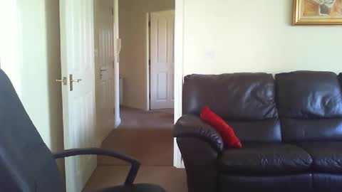 seakrait online show from March 19, 10:41 am