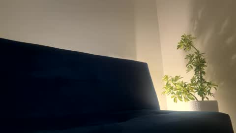 Sean pablo Sanz online show from April 2, 10:40 pm