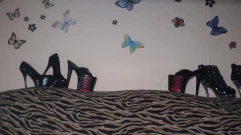 Snapshot of secoiya chatting on February 20, 8:58 pm Emily online show from February 20, 8:58 pm