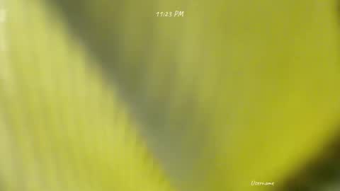 seduce_me_oldman online show from March 9, 3:16 pm