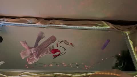 Mali online show from January 15, 9:58 am