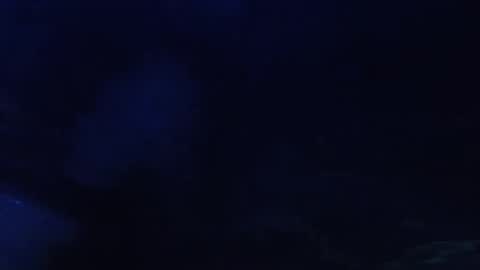 Seeker online show from May 11, 5:57 am