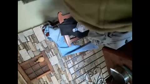 segaiolo21cm online show from November 11, 1:55 pm