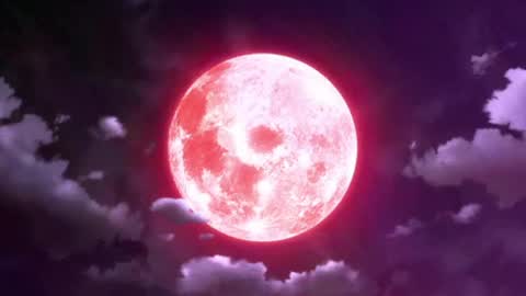 Selene G  online show from May 13, 3:15 am