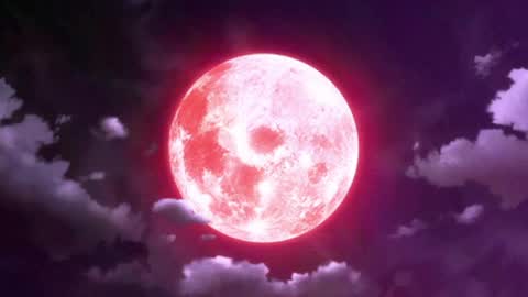 Selene G  online show from May 15, 2:51 am