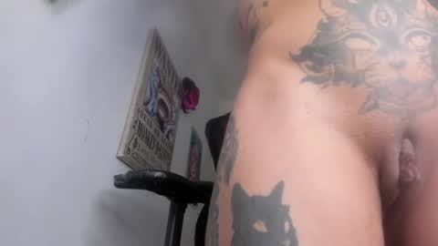 Snapshot of selina_kyl3 chatting on January 6, 12:37 am Selinna Kyle online show from January 6, 12:37 am