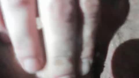 senditquick online show from January 17, 11:15 am