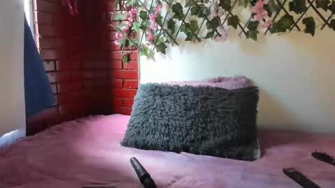 cristal online show from February 19, 6:48 pm