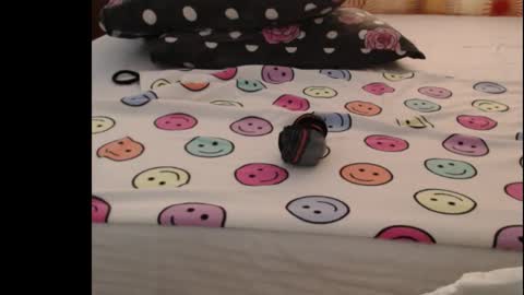 Snapshot of sera_booty chatting on October 25, 5:04 am Anne online show from October 25, 5:04 am