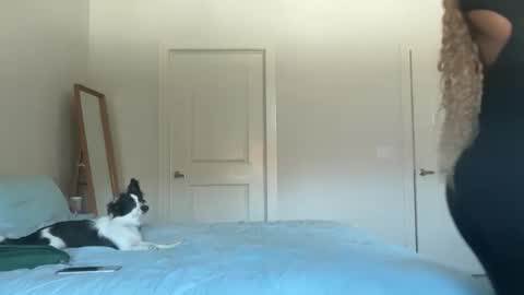 Serenity Bee   online show from November 17, 5:52 pm