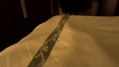 Snapshot of sevenorder chatting on January 24, 7:51 am sevenorder online show from January 24, 7:51 am