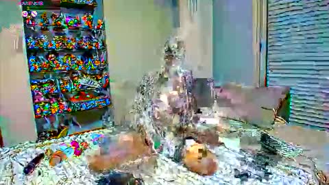 Snapshot of sexapoly chatting on March 17, 6:55 pm Sexapoly online show from March 17, 6:55 pm