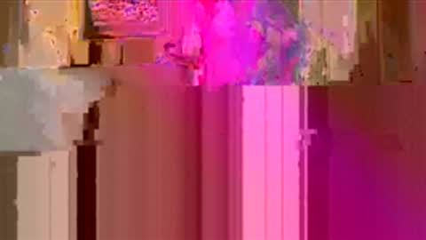 Snapshot of sexdoll530353 chatting on April 5, 1:03 am sexdoll530353 online show from April 5, 1:03 am