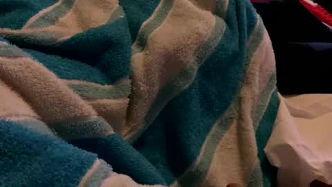 Snapshot of sexplorer54321 chatting on February 3, 1:30 am Sexplorer54321 online show from February 3, 1:30 am