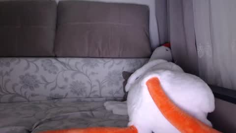 Snapshot of sexsy_bunny chatting on October 1, 5:13 am See you on October going to miss you guys incredibly. Subscribe to my Onlyfans Channel to follow the news online show from October 1, 5:13 am
