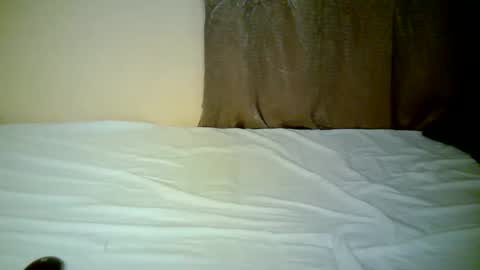 sexxy_shayla online show from November 18, 7:29 pm