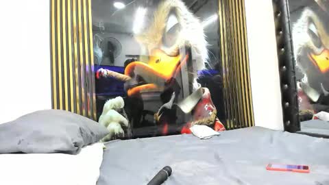 sexy78michell online show from February 14, 2:19 am