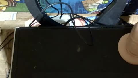 sexy_candy9 online show from May 19, 3:46 am