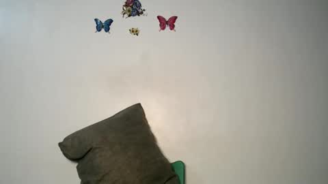 Luna online show from November 22, 10:42 pm