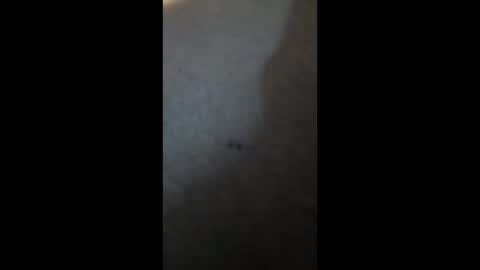 PhatBootyLightBright online show from April 3, 2:59 pm